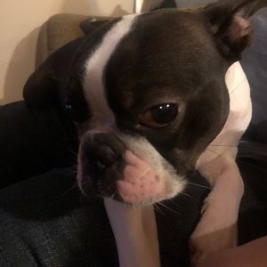 Meet your Posher, Tara